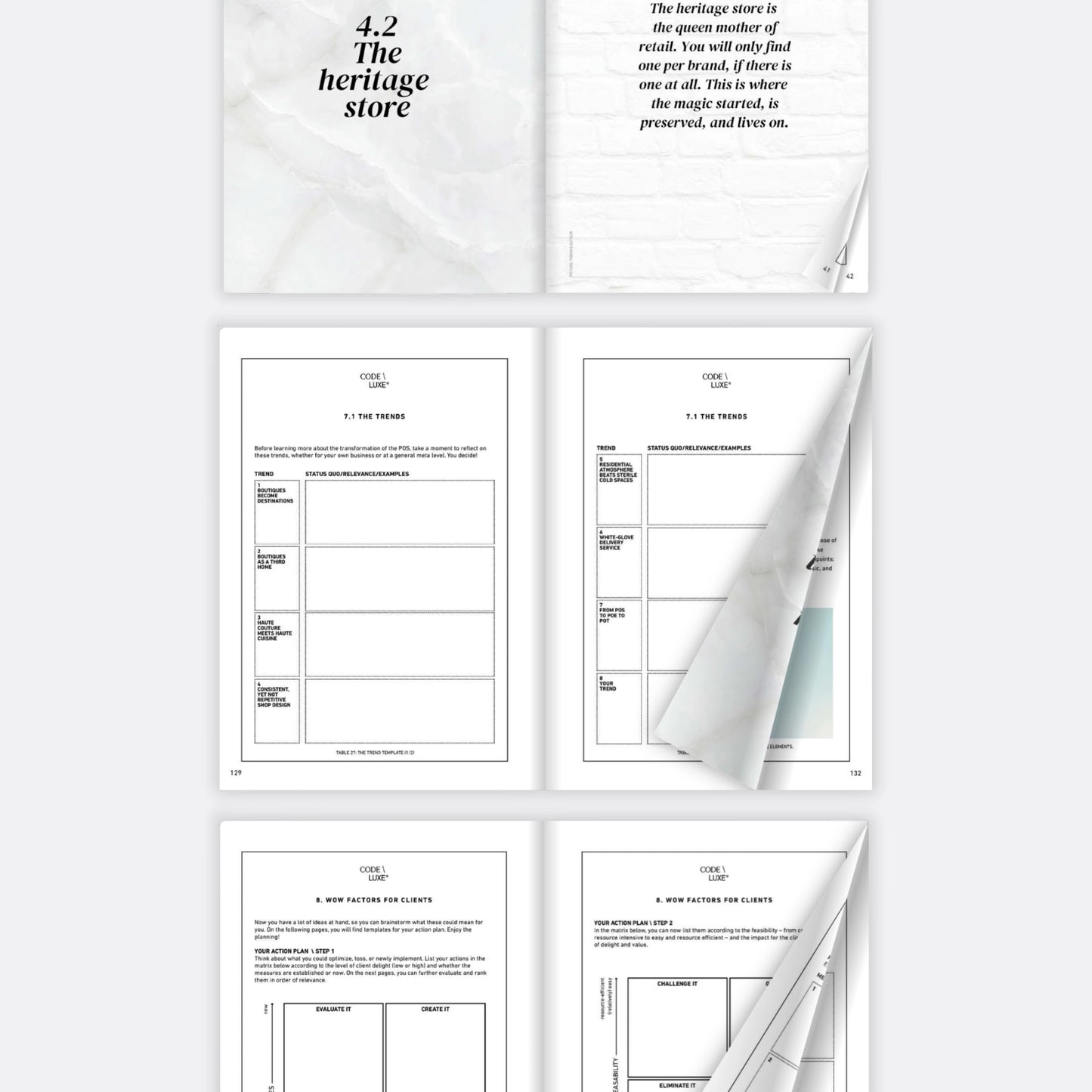 The Luxury Book \ Edition "The Luxury Retail Strategy"